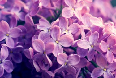 南通如皋企业急用钱贷款攻略：快速融资解燃眉之急